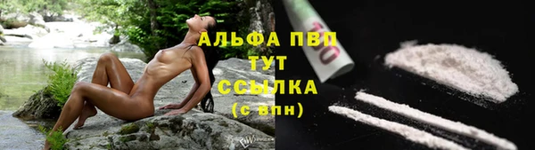 стафф Киреевск