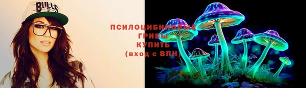 стафф Киреевск