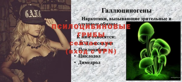 стафф Киреевск