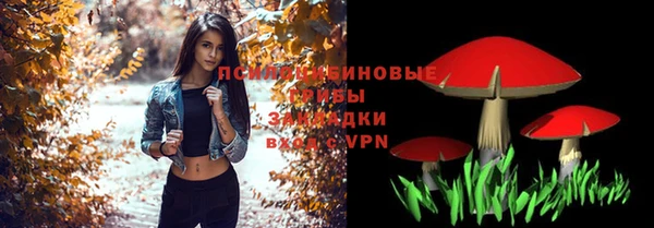 стафф Киреевск