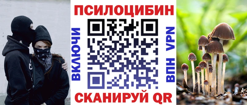 Купить где  Болгар  Псилоцибиновые грибы мицелий 